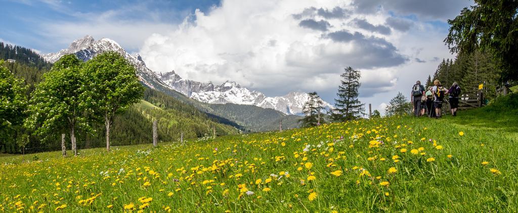 Apartmán Haus Birkenheim Filzmoos Exteriér fotografie